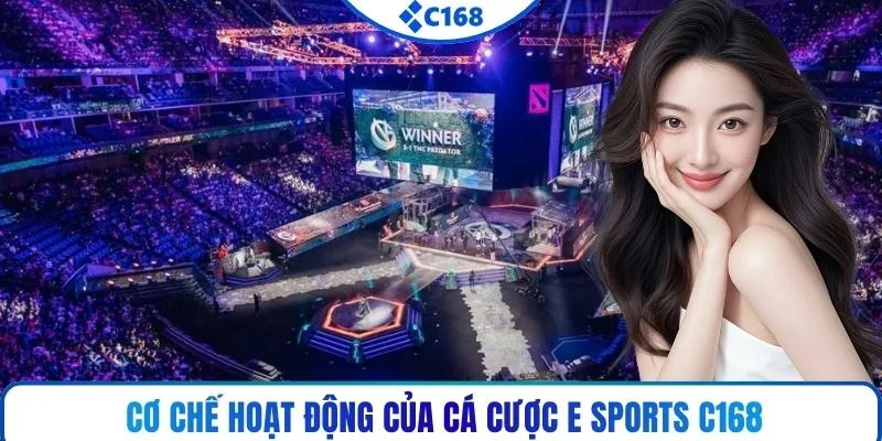 Cơ chế hoạt động của cá cược E sports C168
